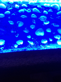 Декоративный подоконник